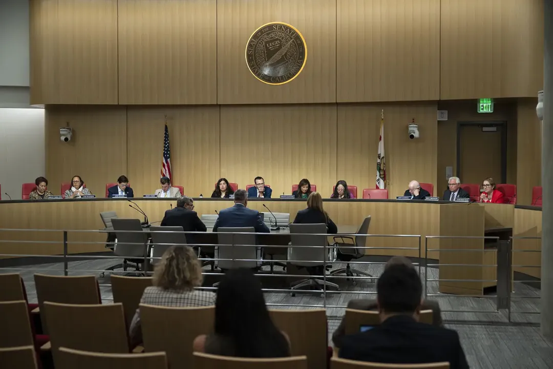 Senator Allen chairs informational hearing on electric utility resilience