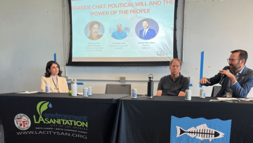 Senator Allen speaks from a panel